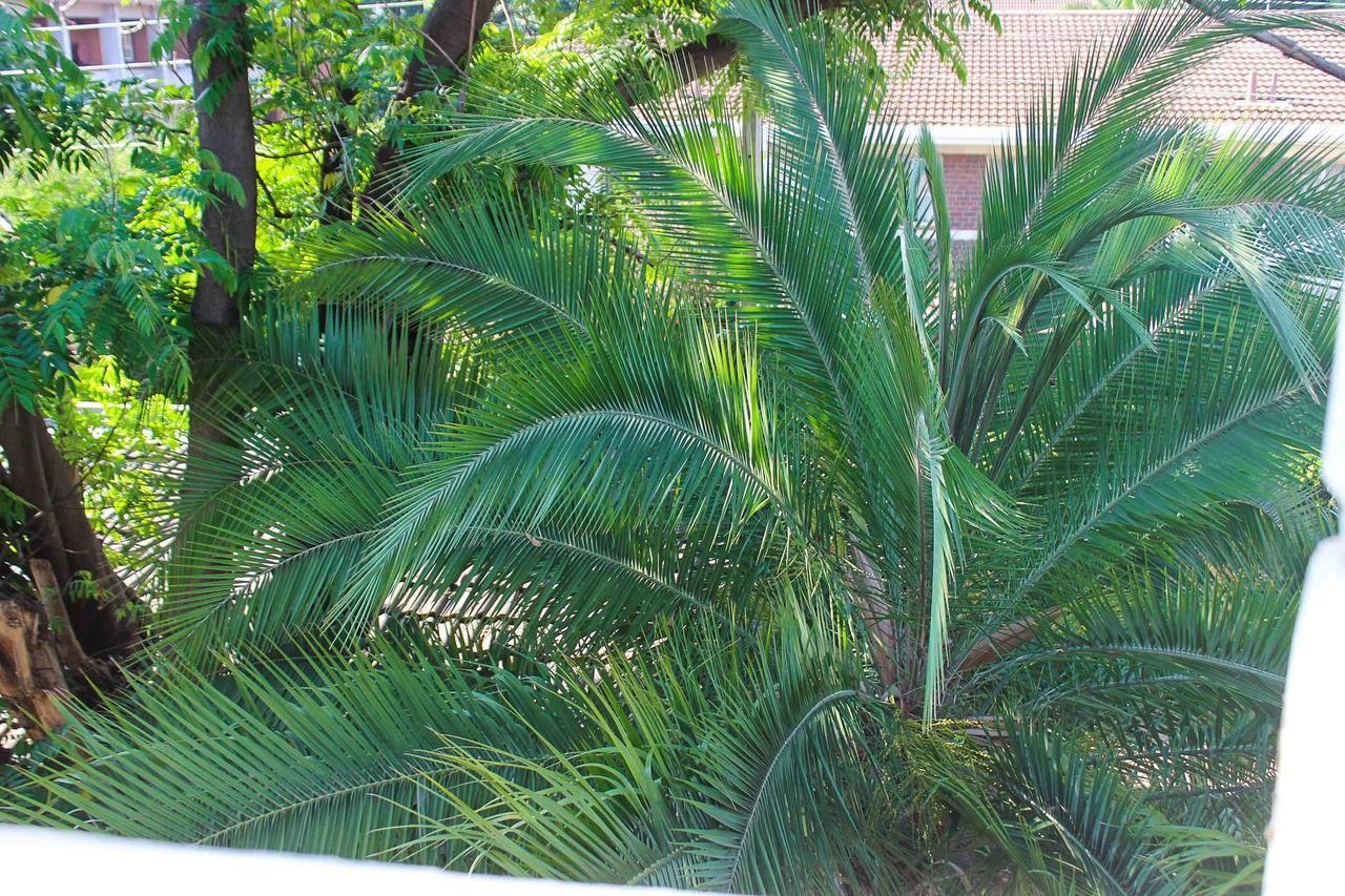 Lolo'S 1Bed Apt-Best Location-2Balconies Harare Eksteriør billede
